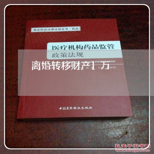 离婚转移财产1万/2023100628371