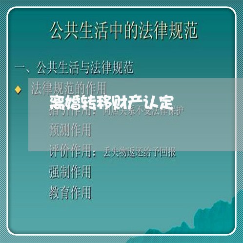 离婚转移财产认定/2023100240574