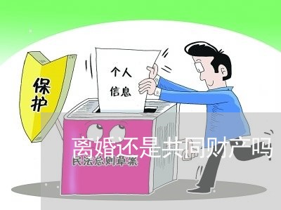 离婚还是共同财产吗/2023110917361