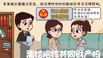 离婚陪嫁共同财产吗/2023110902938