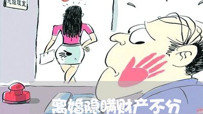 离婚隐瞒财产不分/2023100371406