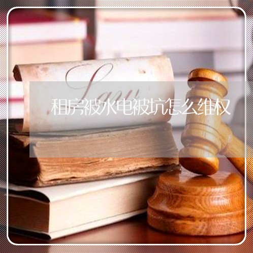 租房被水电被坑怎么维权/2023062416358