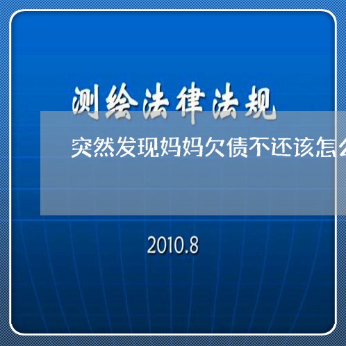 突然发现妈妈欠债不还该怎么办/2023092838482