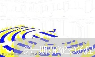 第一期协商还款流程/2023100680482