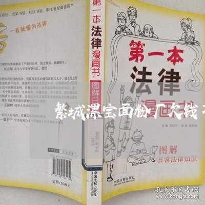 繁城漯宝面粉厂欠钱不还/2023093059592