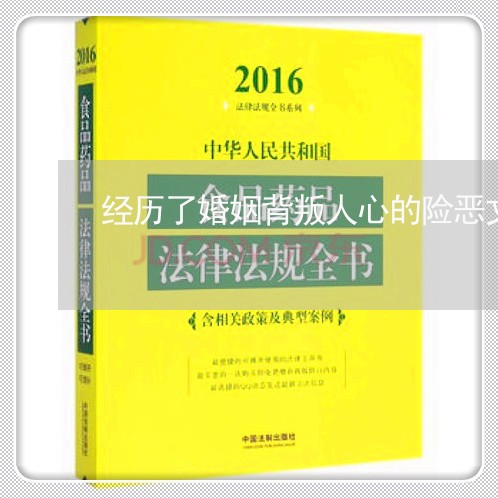 经历了婚姻背叛人心的险恶文案/2023112493037