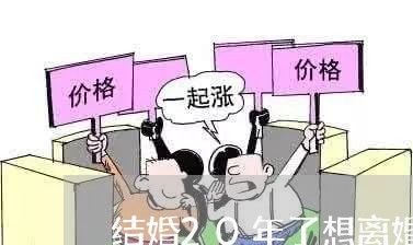 结婚20年了想离婚怎么分财产呢/2023111529280