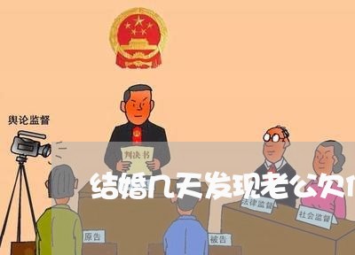 结婚几天发现老公欠债不还/2023111738250