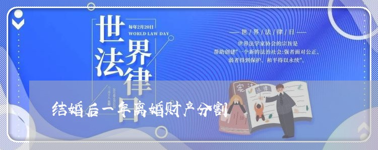 结婚后一年离婚财产分割/2023111500694