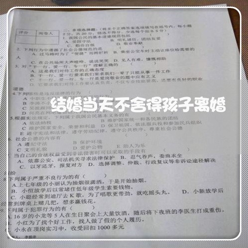 结婚当天不舍得孩子离婚/2023111530479