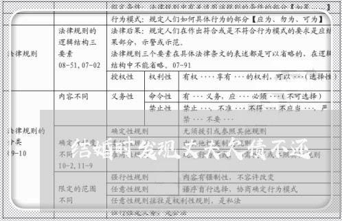 结婚时发现丈夫欠债不还/2023111712617