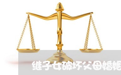 继子女破坏父母婚姻犯法吗/2023112573715