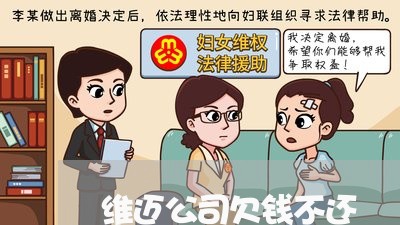 维迈公司欠钱不还/2023111696069