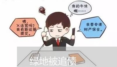 绿地被追债/2023121715079