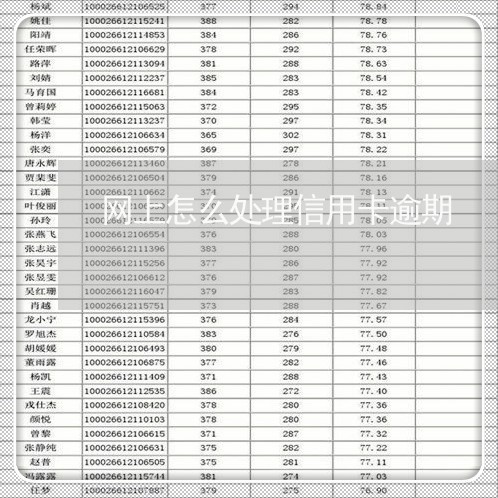 网上怎么处理信用卡逾期/2023112581505