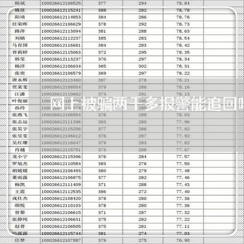 网上被骗两千多报警能追回吗/2023061315159