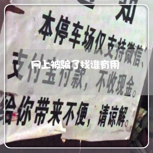 网上被骗了找谁有用/2023033143828