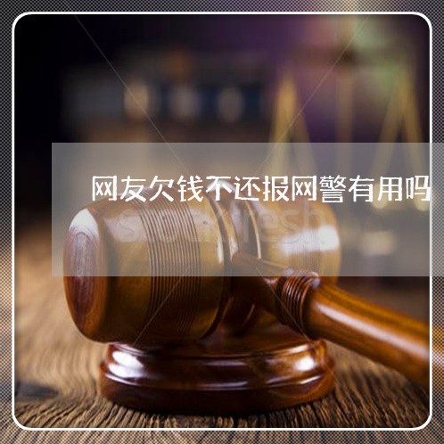 网友欠钱不还报网警有用吗/2023092290481