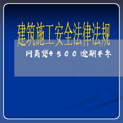 网商贷4500逾期半年/2023102539515