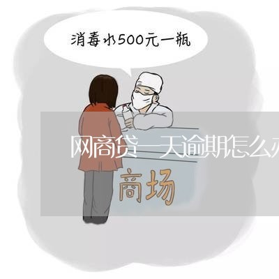 网商贷一天逾期怎么办/2023061704038