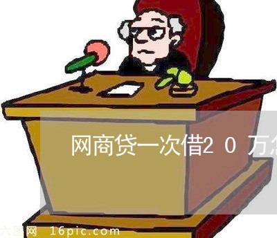 网商贷一次借20万怎么还/2023112300626