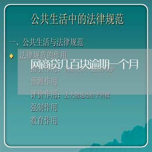 网商贷几百块逾期一个月/2023112313827