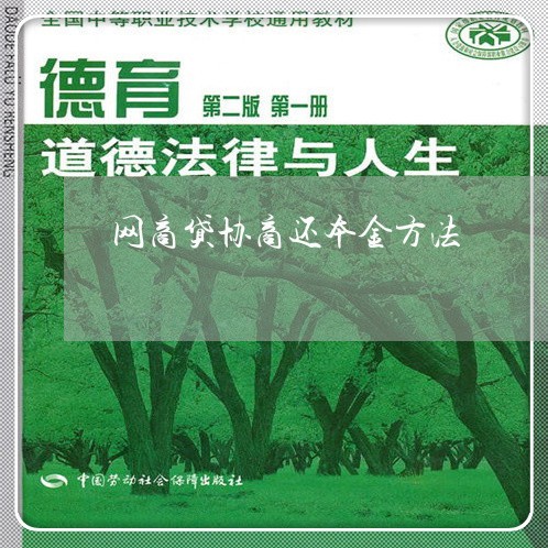 网商贷协商还本金方法/2023102547369