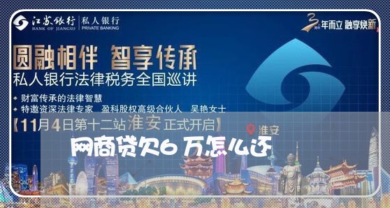 网商贷欠6万怎么还/2023111547049