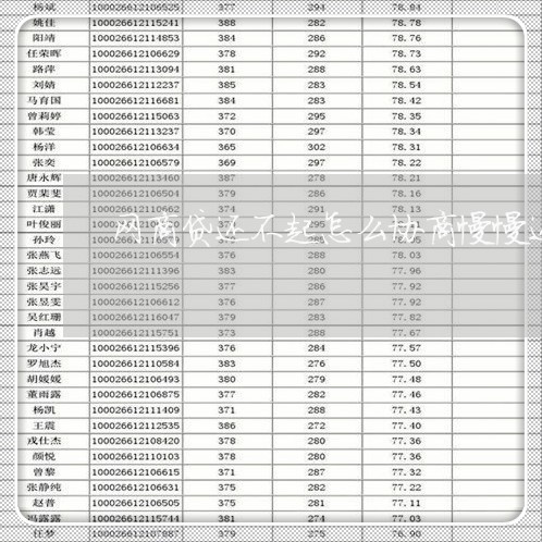 网商贷还不起怎么协商慢慢还款/2023092739403