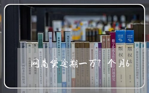 网商贷逾期一万7个月6/2023061716938