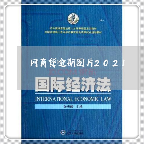 网商贷逾期图片2021/2023102584931