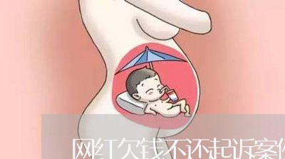 网红欠钱不还起诉案例分析/2023110126060