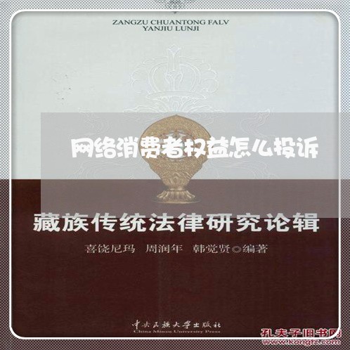 网络消费者权益怎么投诉/2023021738250