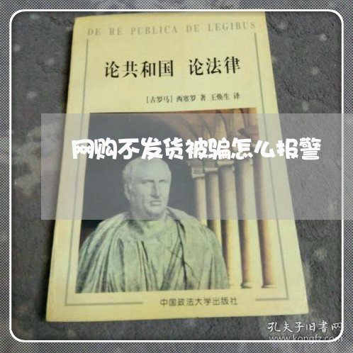 网购不发货被骗怎么报警/2023062525038