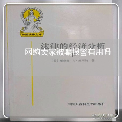 网购卖家被骗报警有用吗/2023062689603