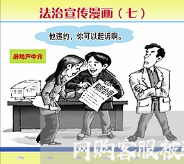 网购客服被骗11万/2023052783724