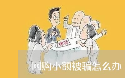 网购小额被骗怎么办/2023052793148