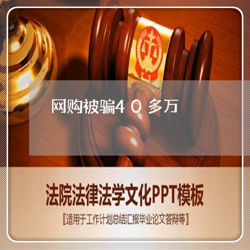 网购被骗40多万/2023060490481