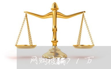 网购被骗71万/2023042018068