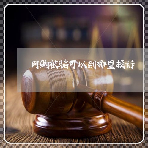 网购被骗可以到哪里投诉/2023062544048