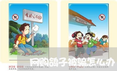 网购鸽子被骗怎么办/2023052783037