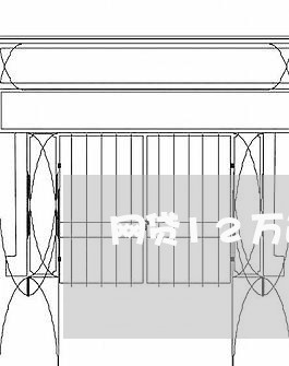 网贷12万逾期有什么后果/2023110740803