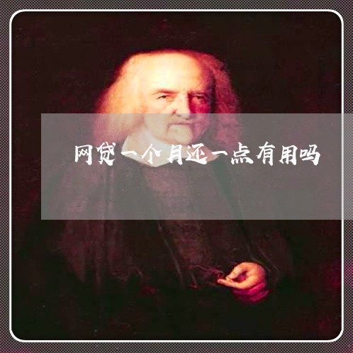 网贷一个月还一点有用吗/2023112477368