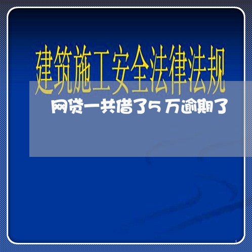 网贷一共借了5万逾期了/2023111763926