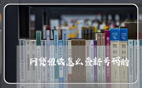 网贷催收怎么查新号码的/2023090643795