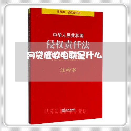 网贷催收电联是什么/2023102554725