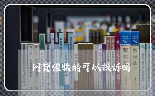 网贷催收的可以投诉吗/2023102452474