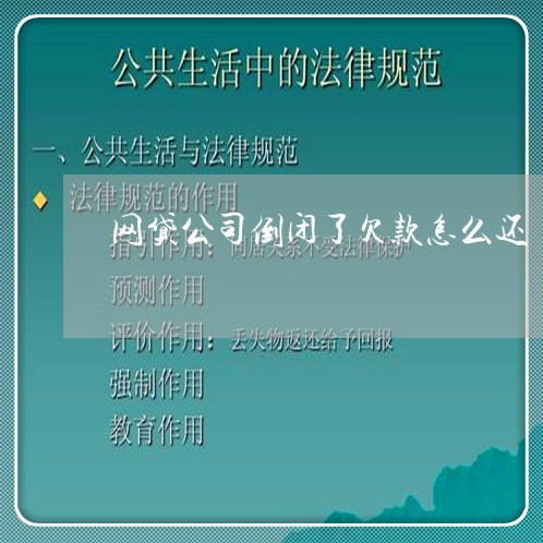 网贷公司倒闭了欠款怎么还/2023111405815