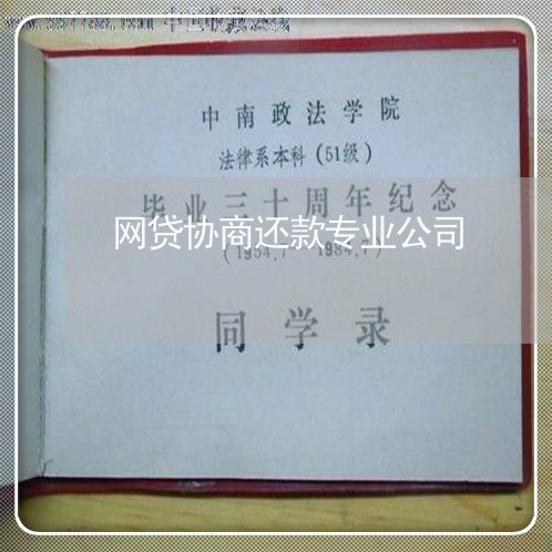 网贷协商还款专业公司/2023092331837