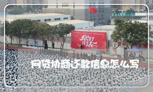 网贷协商还款信息怎么写/2023100516037